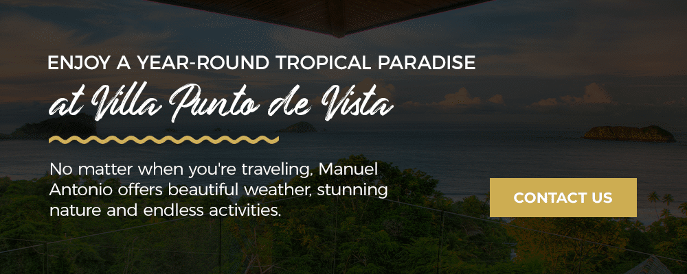 Enjoy-a-Year-Round-Tropical-Paradise