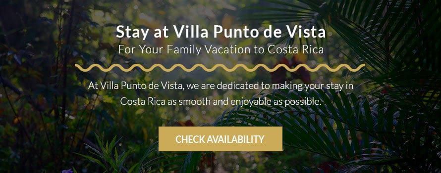 Stay at Villa Pundo de Vista