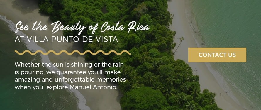 what to do in manuel antonio when it rains