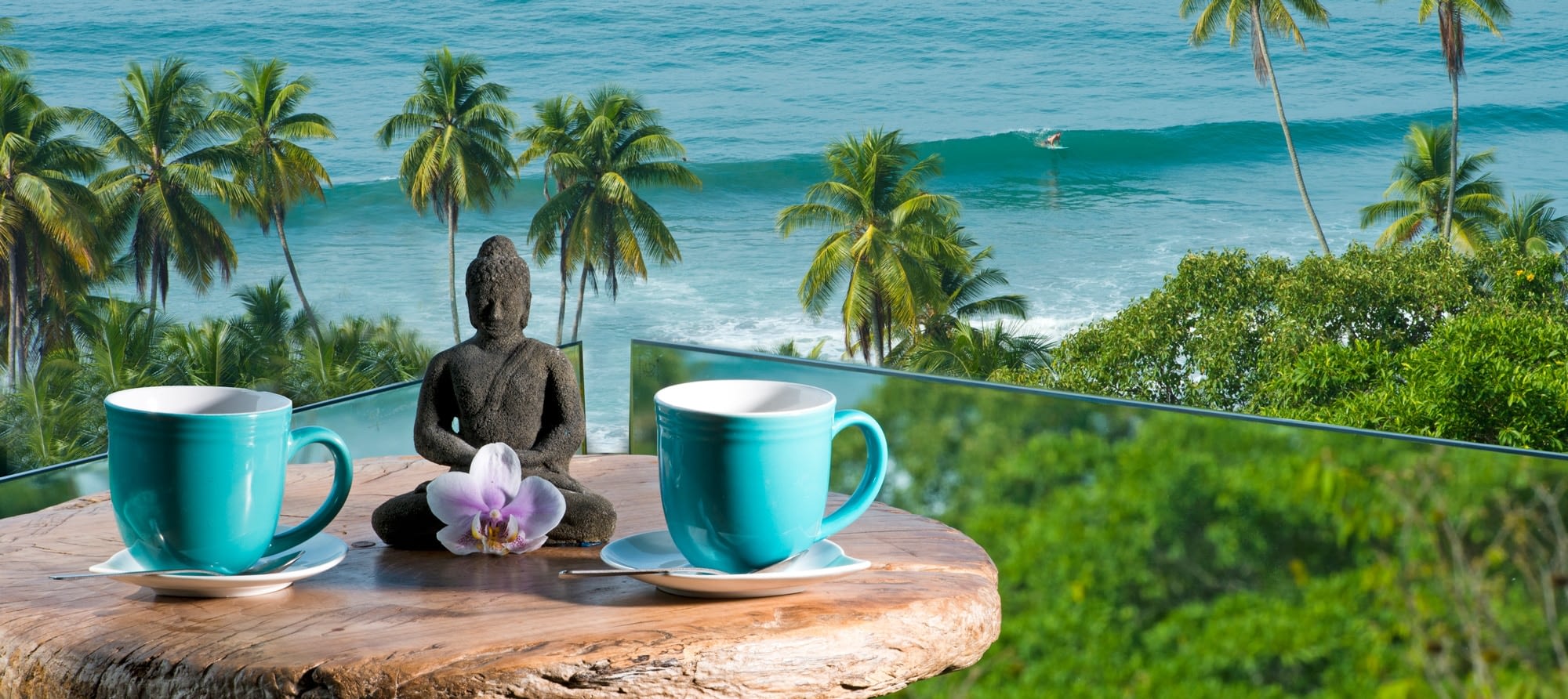 wellness retreats in costa rica